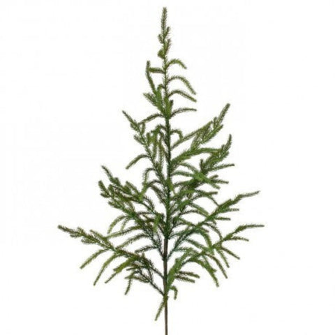 38" Natural Touch Norfolk Pine Spray, shoptreeboutique.com