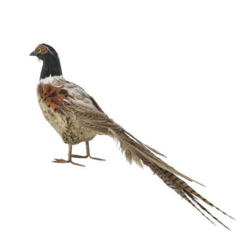 20" Feather Pheasant with Tail, thetreeboutique.ai