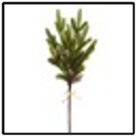 22.5" Evergreen and Mini Pinecone Bundle