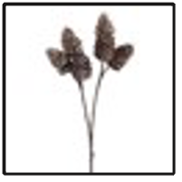 32" Pinecone Spray