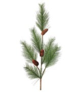 38" HARD NEEDLE PINE W/CONES BRANCH